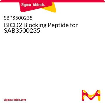 BICD2 Blocking Peptide for SAB3500235