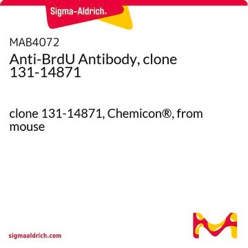 Anti-BrdU Antibody, clone 131-14871 clone 131-14871, Chemicon&#174;, from mouse