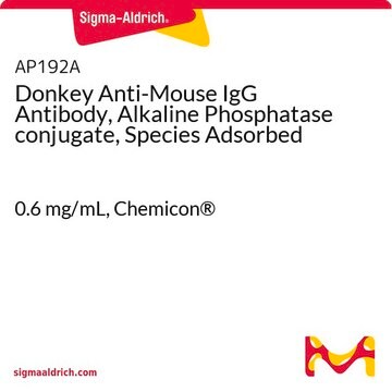 Donkey Anti-Mouse IgG Antibody, Alkaline Phosphatase conjugate, Species Adsorbed 0.6&#160;mg/mL, Chemicon&#174;