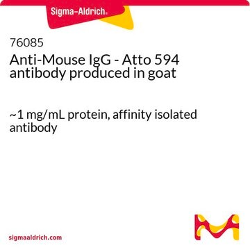 Anti-Mouse IgG - Atto 594 antibody produced in goat ~1&#160;mg/mL protein, affinity isolated antibody