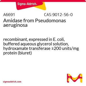 Amidase from Pseudomonas aeruginosa recombinant, expressed in E. coli, buffered aqueous glycerol solution, hydroxamate transferase &#8805;200&#160;units/mg protein (biuret)