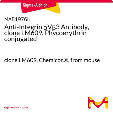 Anti-Integrin &#945;V&#946;3 Antibody, clone LM609, Phycoerythrin conjugated clone LM609, Chemicon&#174;, from mouse