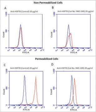 Monoclonal Anti-HSP70-Atto 594 antibody produced in mouse clone 1H11