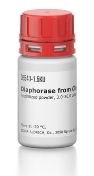 Diaphorase from Clostridium kluyveri lyophilized powder, 3.0-20.0&#160;units/mg protein (biuret)