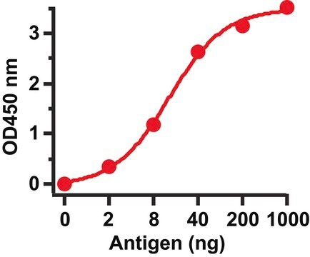 Anti-SARS-CoV Spike antibody produced in rabbit affinity isolated antibody