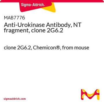 Anti-Urokinase Antibody, NT fragment, clone 2G6.2 clone 2G6.2, Chemicon&#174;, from mouse