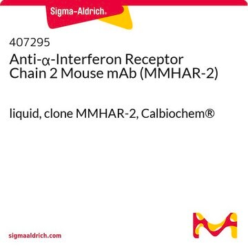 Anti-&#945;-Interferon Receptor Chain 2 Mouse mAb (MMHAR-2) liquid, clone MMHAR-2, Calbiochem&#174;