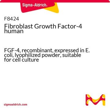 繊維芽細胞増殖因子-4 ヒト FGF-4, recombinant, expressed in E. coli, lyophilized powder, suitable for cell culture