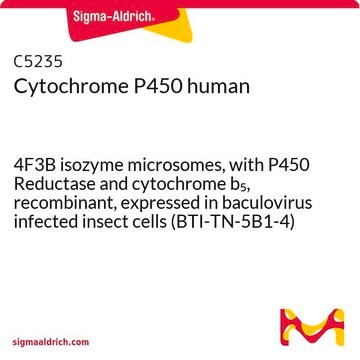 Cytochrome P450 human 4F3B isozyme microsomes, with P450 Reductase and cytochrome b5, recombinant, expressed in baculovirus infected insect cells (BTI-TN-5B1-4)