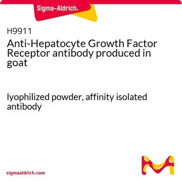 Anti-Hepatocyte Growth Factor Receptor antibody produced in goat lyophilized powder, affinity isolated antibody