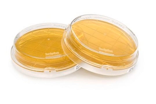 Tryptic Soy Agar - Ready-to-use Contact Plates Tween&#174;, Sodium Thiosulfate, Lecithin, Histidine, lid, ICR Plus: lockable, plate diam. 55&#160;mm, sterile; irradiated, triple packed of 10&#160;plates, suitable for surface monitoring