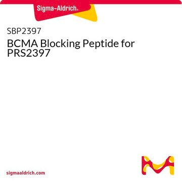 BCMA Blocking Peptide for PRS2397