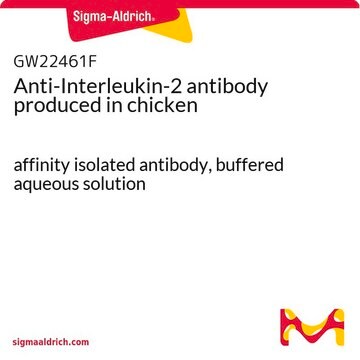 Anti-Interleukin-2 antibody produced in chicken affinity isolated antibody, buffered aqueous solution