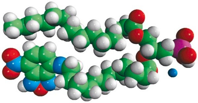 16:0-12:0 NBD PA Avanti Research&#8482; - A Croda Brand 810174P, powder