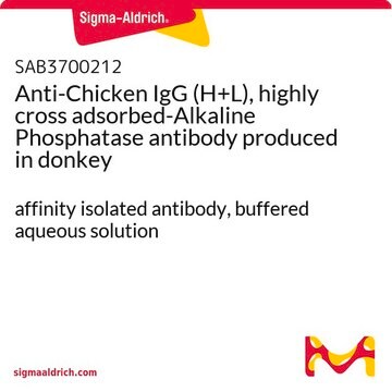 Anti-Chicken IgG (H+L), highly cross adsorbed-Alkaline Phosphatase antibody produced in donkey affinity isolated antibody, buffered aqueous solution