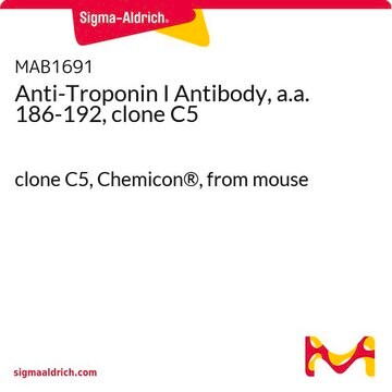 Anti-Troponin I Antibody, a.a. 186-192, clone C5 clone C5, Chemicon&#174;, from mouse