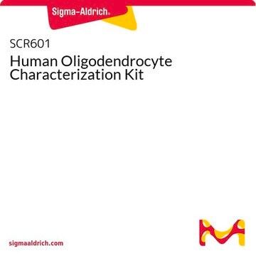 Human Oligodendrocyte Characterization Kit