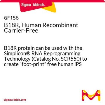 B18R, Human Recombinant Carrier-Free liquid, &gt;98% (SDS-PAGE), &lt;0.05 ng/&#956;g cytokine (LAL test)