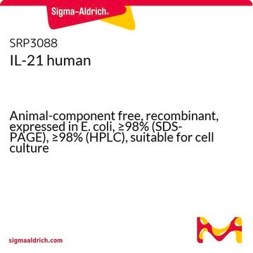 IL-21 human Animal-component free, recombinant, expressed in E. coli, &#8805;98% (SDS-PAGE), &#8805;98% (HPLC), suitable for cell culture