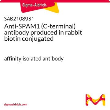 Anti-SPAM1 (C-terminal) antibody produced in rabbit biotin conjugated affinity isolated antibody