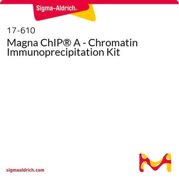 Magna ChIP&#174; A - Chromatin Immunoprecipitation Kit