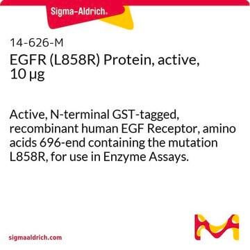 EGFR (L858R) Protein, active, 10 &#181;g Active, N-terminal GST-tagged, recombinant human EGF Receptor, amino acids 696-end containing the mutation L858R, for use in Enzyme Assays.