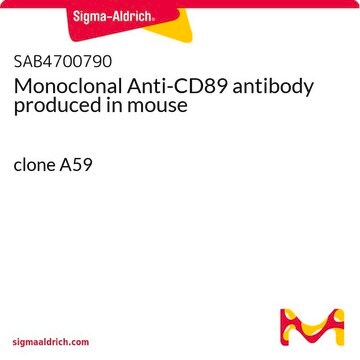 Monoclonal Anti-CD89 antibody produced in mouse clone A59