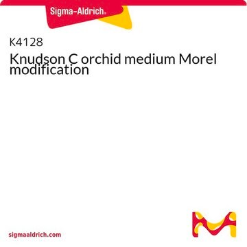 Knudson C orchid medium Morel modification