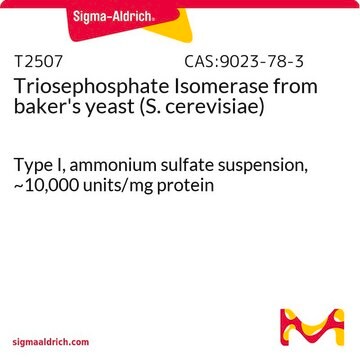 Triosephosphate Isomerase from baker’s yeast (S.&#160;cerevisiae) Type I, ammonium sulfate suspension, ~10,000&#160;units/mg protein