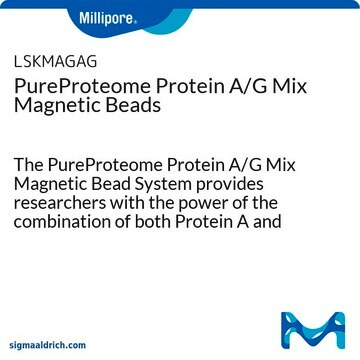 PureProteome Protein A/G Mix Magnetic Beads The PureProteome Protein A/G Mix Magnetic Bead System provides researchers with the power of the combination of both Protein A and Protein G immunoglobulin binding affinities in one convenient magnetic bead product.