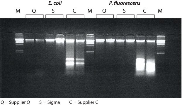 GenElute&#8482; Bacterial Genomic DNA Kits sufficient for 350&#160;purifications