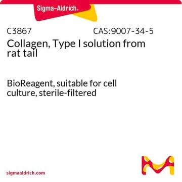 Collagen, Type I solution from rat tail BioReagent, suitable for cell culture, sterile-filtered