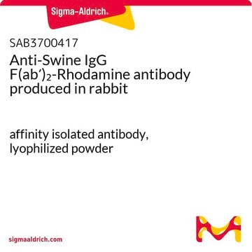 Anti-Swine IgG F(ab&#8242;)2-Rhodamine antibody produced in rabbit affinity isolated antibody, lyophilized powder