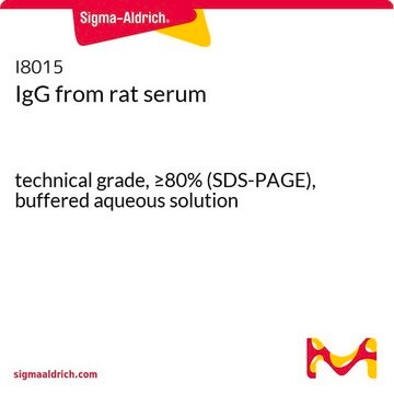 IgG from rat serum technical grade, &#8805;80% (SDS-PAGE), buffered aqueous solution