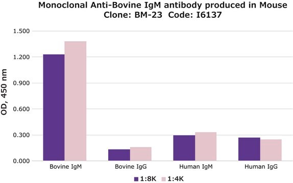 Monoclonal Anti-Bovine IgM antibody produced in mouse clone BM-23, ascites fluid