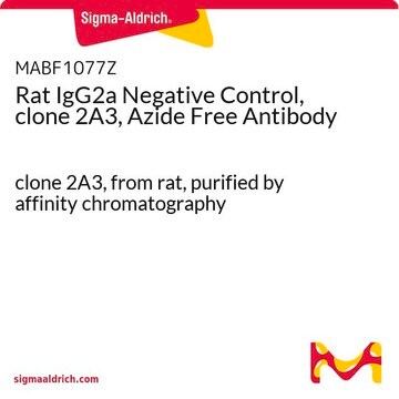 Rat IgG2a Negative Control, clone 2A3, Azide Free Antibody clone 2A3, from rat, purified by affinity chromatography