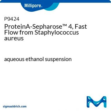 プロテインA-セファロース&#8482;4、高速流 Staphylococcus aureus由来 aqueous ethanol suspension