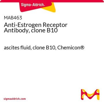 Anti-Estrogen Receptor Antibody, clone B10 ascites fluid, clone B10, Chemicon&#174;