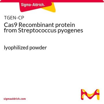 Cas9 Recombinant protein from Streptococcus pyogenes lyophilized powder