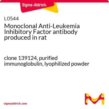 Monoclonal Anti-Leukemia Inhibitory Factor antibody produced in rat clone 139124, purified immunoglobulin, lyophilized powder