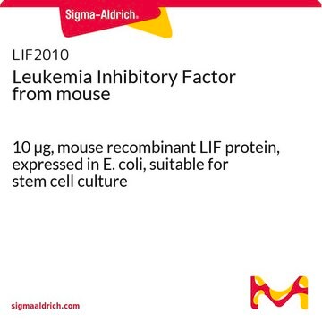 Leukemia Inhibitory Factor from mouse 10 &#181;g, mouse recombinant LIF protein, expressed in E. coli, suitable for stem cell culture