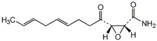 Cerulenin, Cephalosporium caerulens An antifungal antibiotic that inhibits sterol and fatty acid biosynthesis.