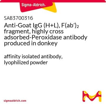 Anti-Goat IgG (H+L), F(ab&#8242;)2 fragment, highly cross adsorbed-Peroxidase antibody produced in donkey affinity isolated antibody, lyophilized powder