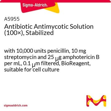 Antibiotic Antimycotic Solution (100×), Stabilized with 10,000 units penicillin, 10 mg streptomycin and 25 &#956;g amphotericin B per mL, 0.1 &#956;m filtered, BioReagent, suitable for cell culture