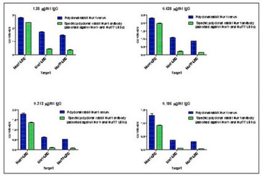 Anti-Nurr-1 from rabbit