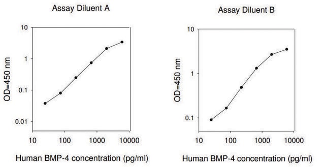 Human BMP-4 ELISA Kit for serum, plasma, cell culture supernatant and urine