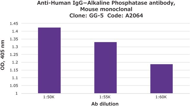 Anti-Human IgG&#8722;Alkaline Phosphatase antibody, Mouse monoclonal clone GG-5, purified from hybridoma cell culture