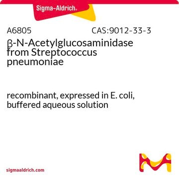 &#946;-N-アセチルグルコサミニダーゼ 肺炎レンサ球菌由来 recombinant, expressed in E. coli, buffered aqueous solution