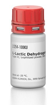 L-Lactic Dehydrogenase from rabbit muscle Type XI, lyophilized powder, 600-1,200&#160;units/mg protein