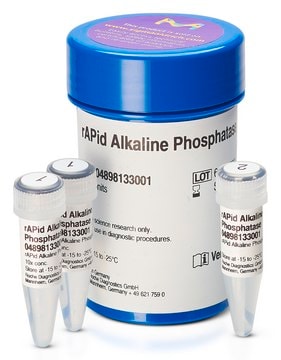 rAPid Alkaline Phosphatase 1&#160;units/&#956;g protein, optimum reaction temp. 37 °C